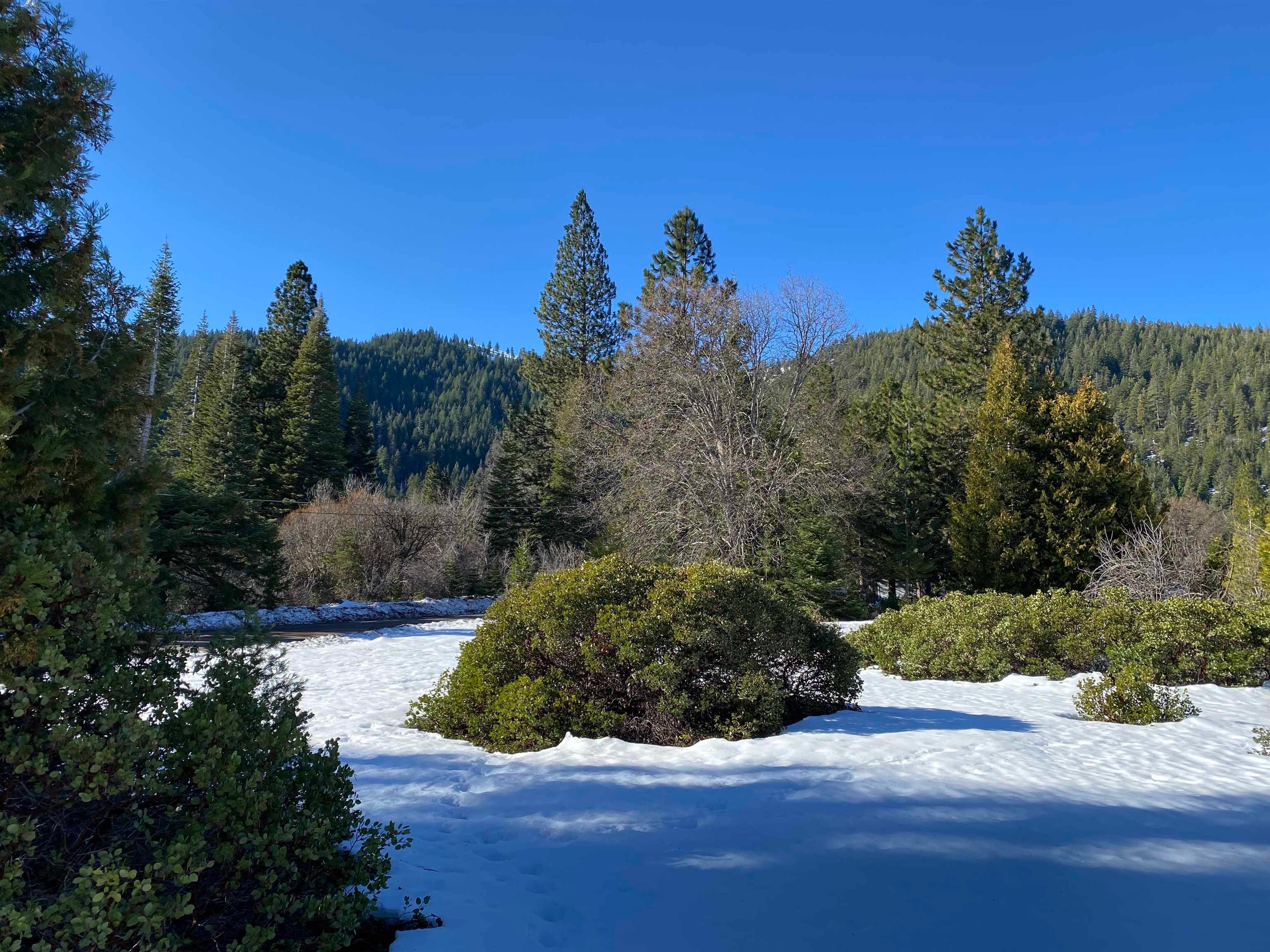 Davis Place Road Mount Shasta, CA 96067 - Photo 1 of 5 Gallery Image 1