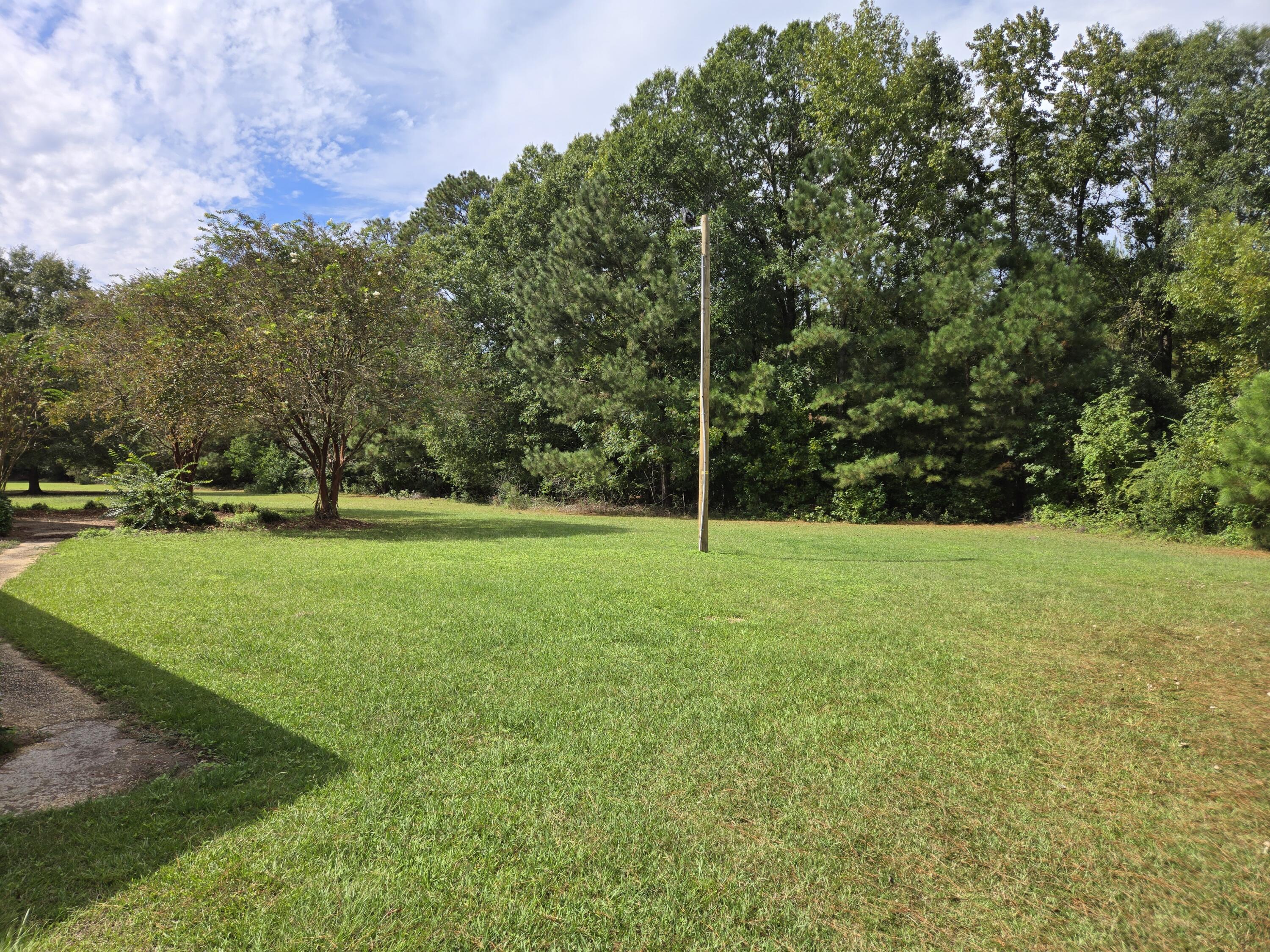224 Country Club Boulevard St. George, SC 29477 - Photo 6 of 19 CC Backyard