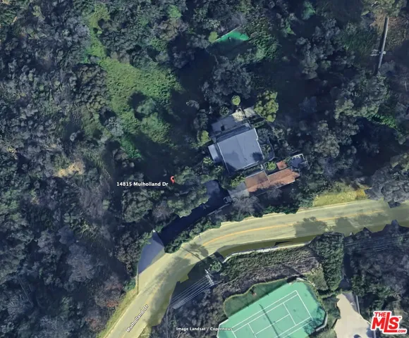 a view of a yard with plants