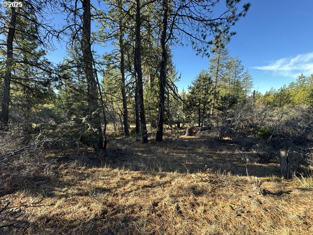 Hummingbird Drive, Unit 13 Bonanza, OR 97623 - Photo 11 of 17