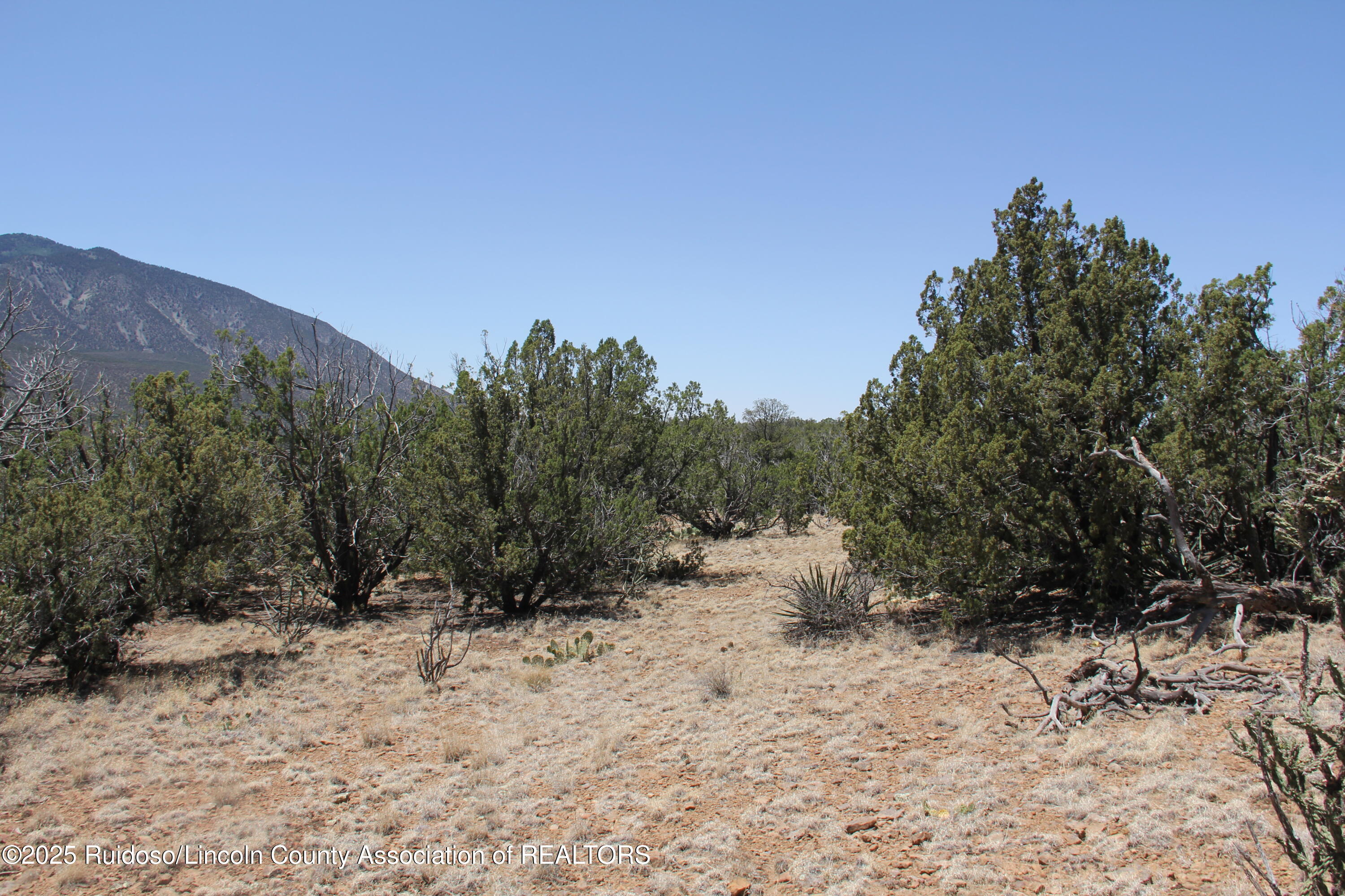 Tbd Jicarilla Road Carrizozo, NM 88301 - Photo 25 of 53 Gallery Image 25