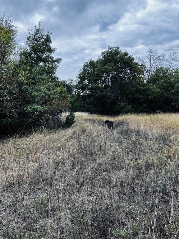 Tbd Flat Rock Road Azle, TX 76020 - Photo 14 of 16 a view of outdoor space and yard