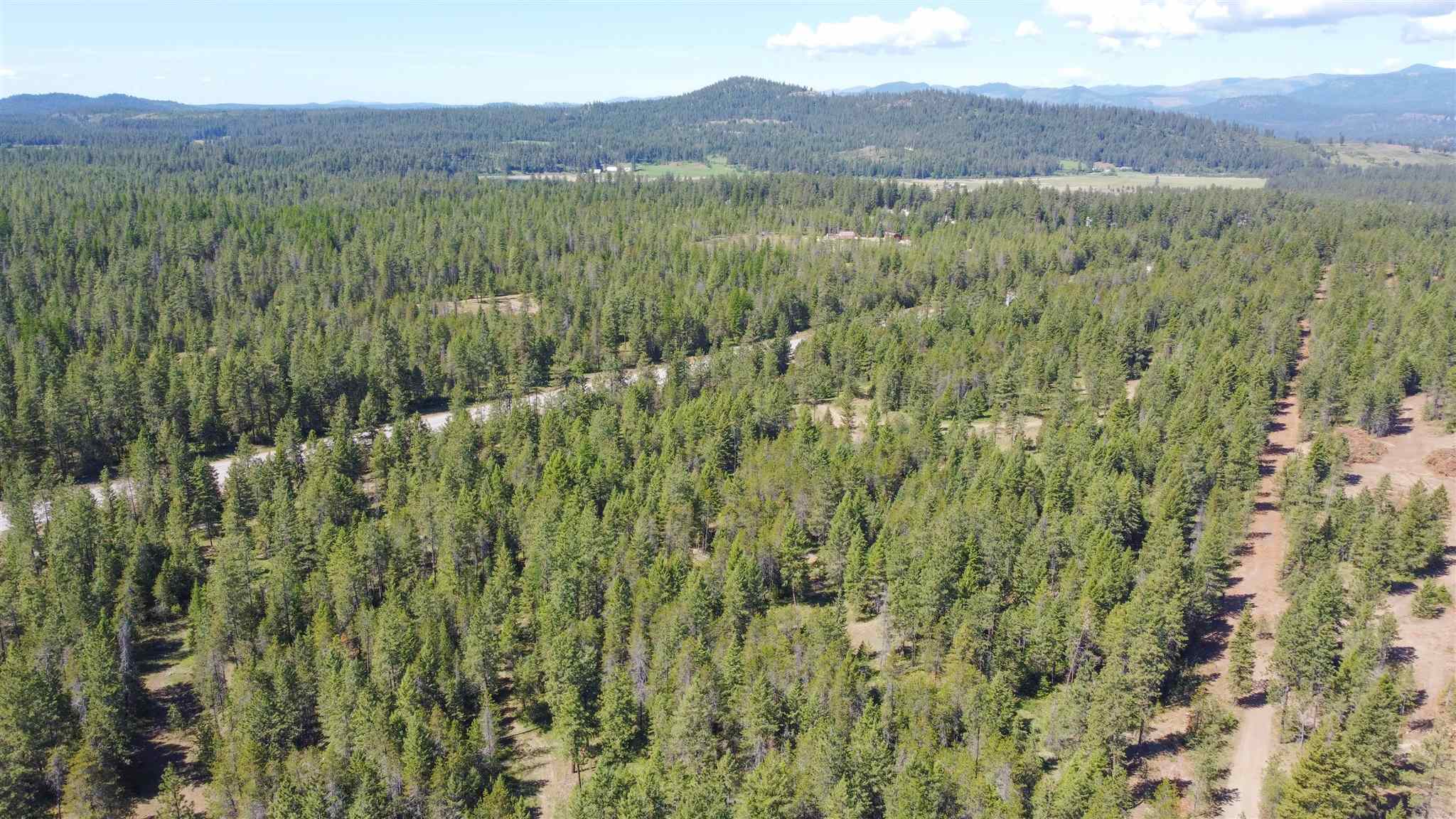 3323 B Roitz Road, Unit LOT 2 Valley, WA 99181 - Photo 4 of 17