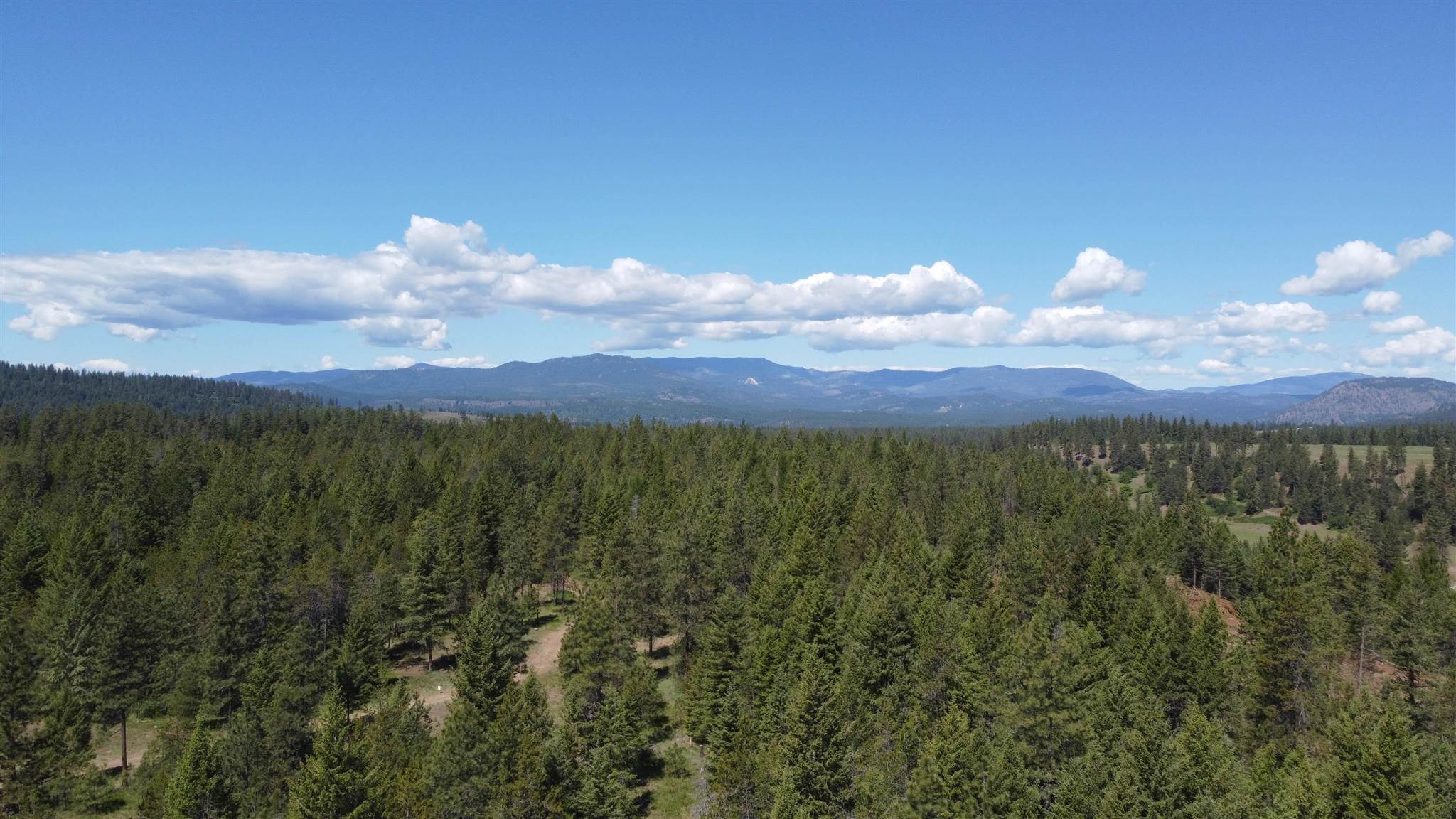 3323 B Roitz Road, Unit LOT 2 Valley, WA 99181 - Photo 6 of 17