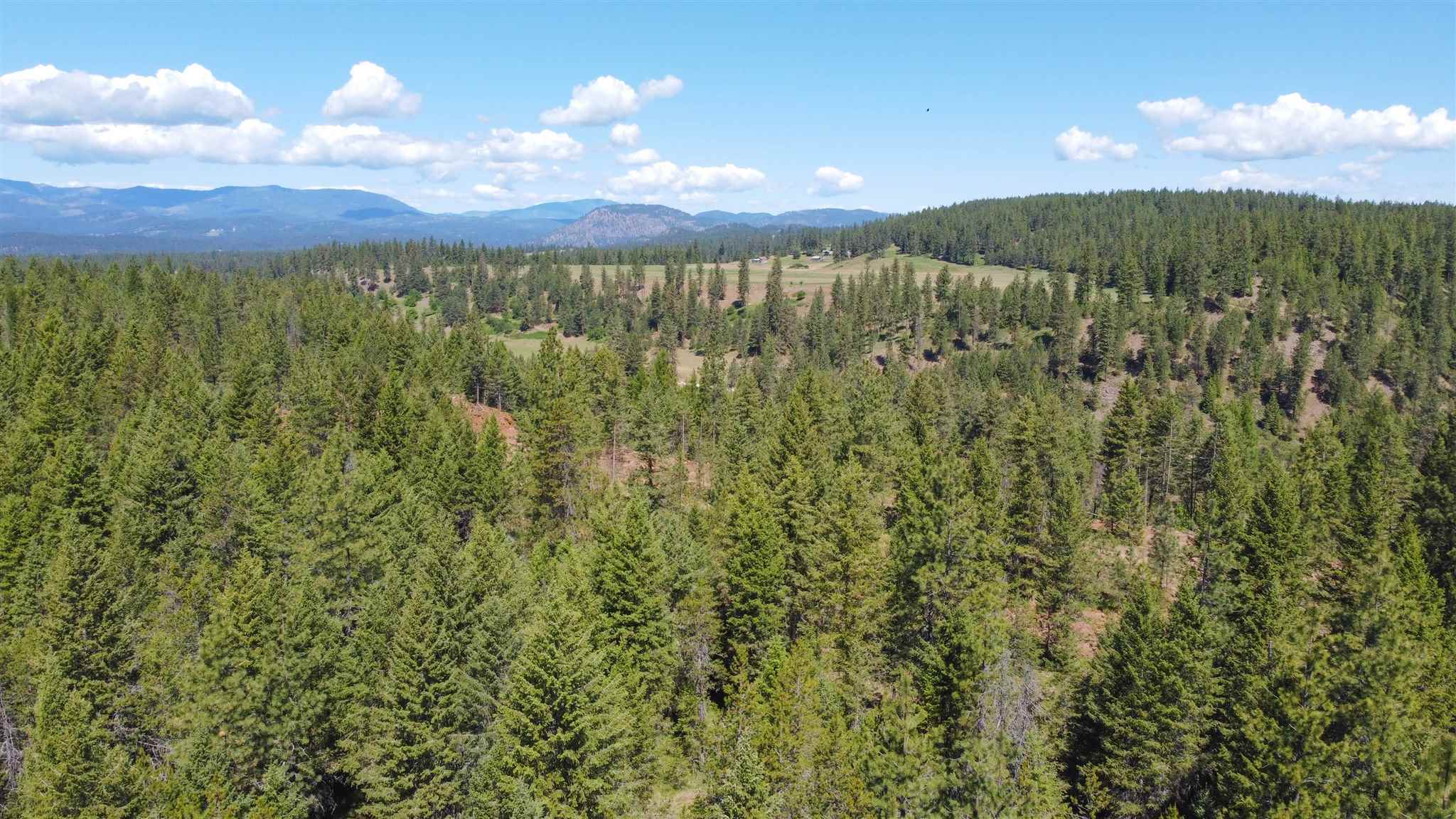 3323 B Roitz Road, Unit LOT 2 Valley, WA 99181 - Photo 7 of 17