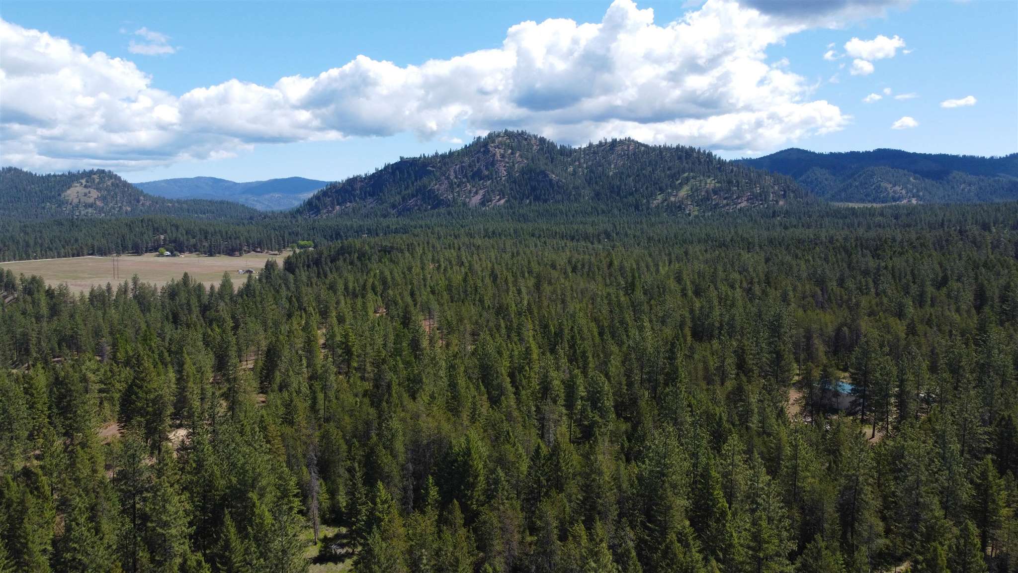 3323 B Roitz Road, Unit LOT 2 Valley, WA 99181 - Photo 8 of 17