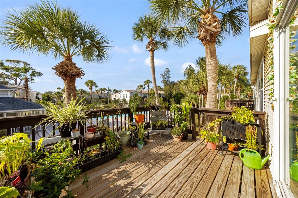 7641 Sailwinds Pass Port Richey, FL 34668 - Photo 29 of 59 a view of a house with a patio