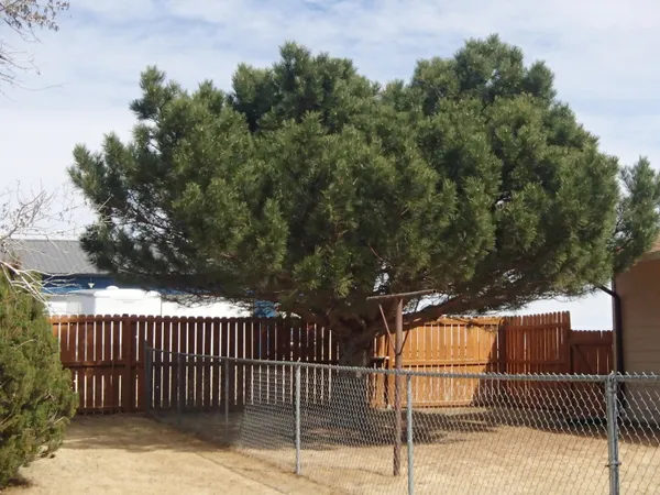 $475,000 | 170 Aspen Drive, Buffalo, WY 82834