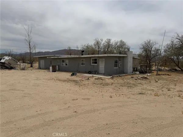 a view of a dry yard