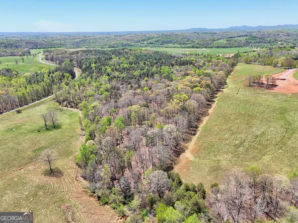 $1,150,000 | 200 Annandale Drive, Clarkesville, GA 30523