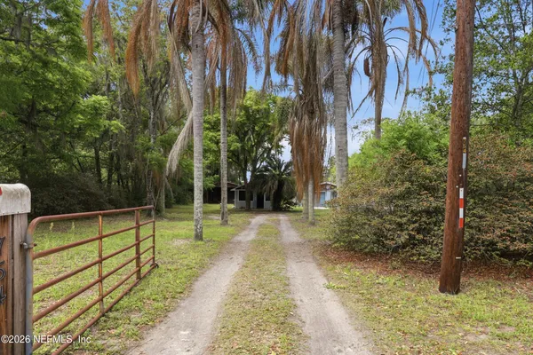a view of yard with large trees