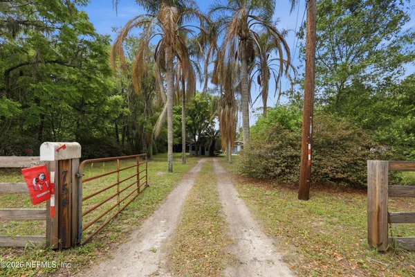 a view of a pathway of a park