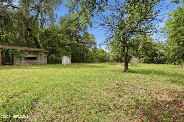 a view of a garden with a tree