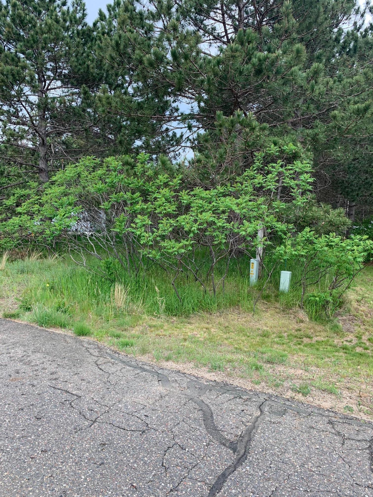 Tbd Timber Oaks Road Pequot Lakes, MN 56472 - Photo 1 of 1