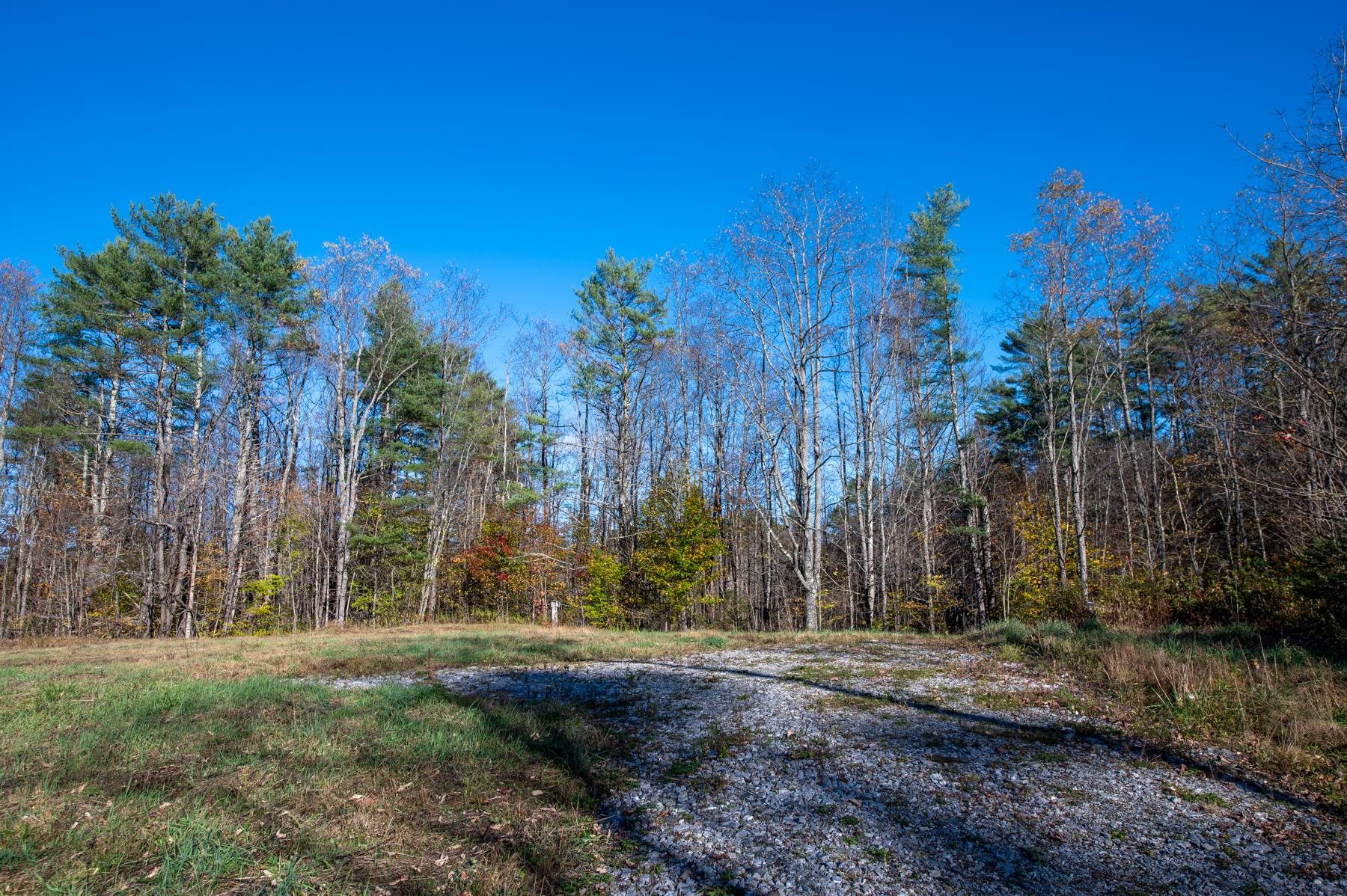 2366 Middletown Road Londonderry, VT 05148 - Photo 4 of 12