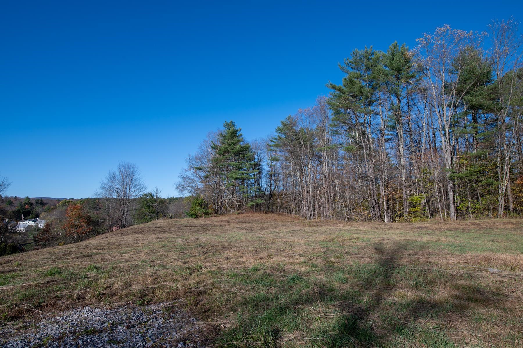 2366 Middletown Road Londonderry, VT 05148 - Photo 7 of 12