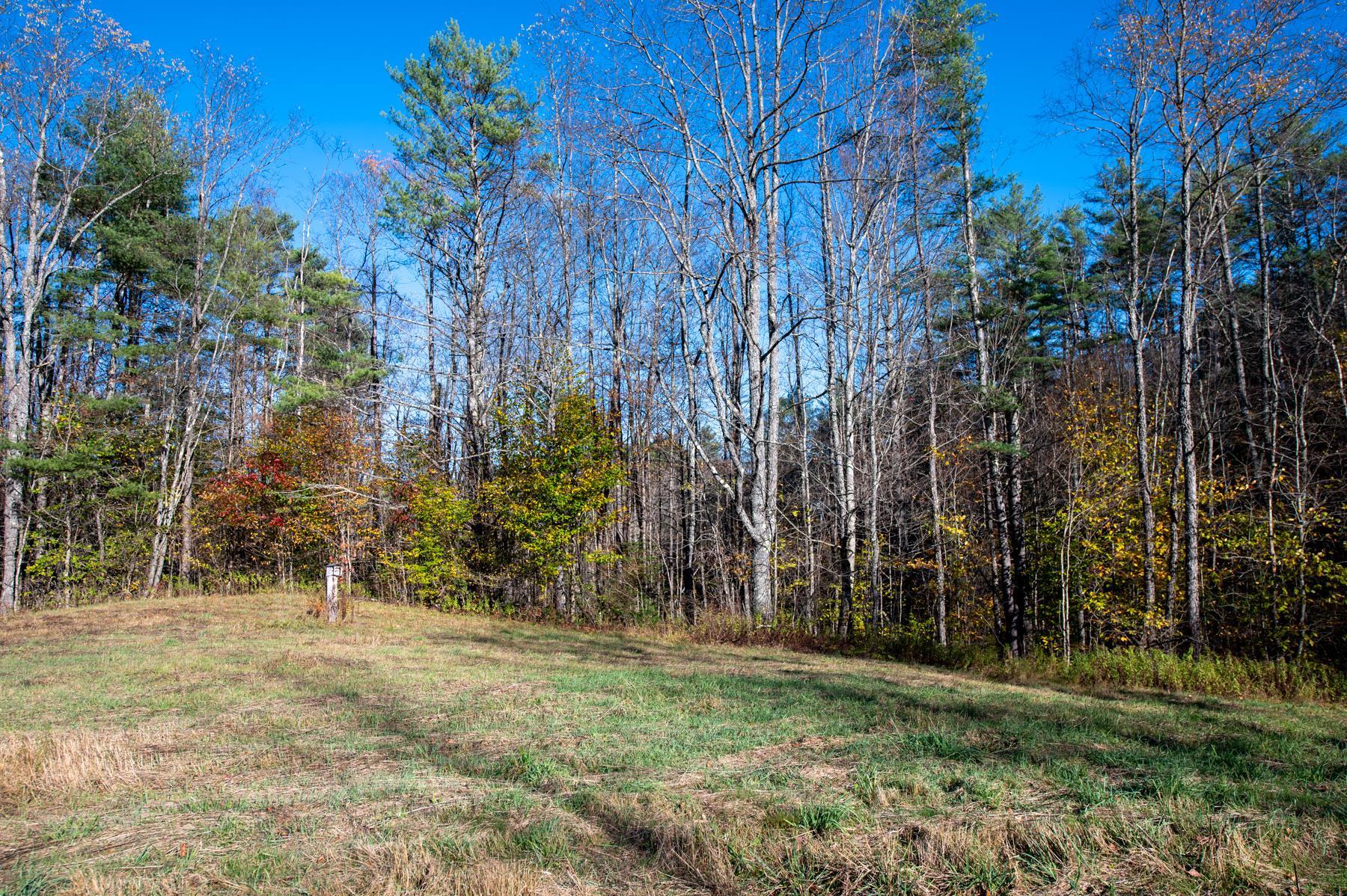 2366 Middletown Road Londonderry, VT 05148 - Photo 8 of 12