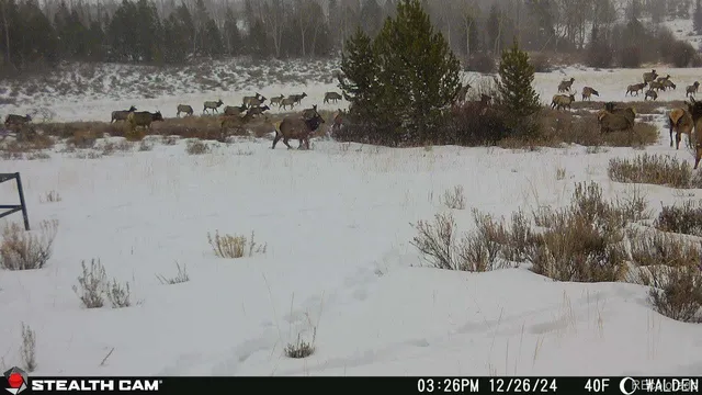 a view of white house and snow