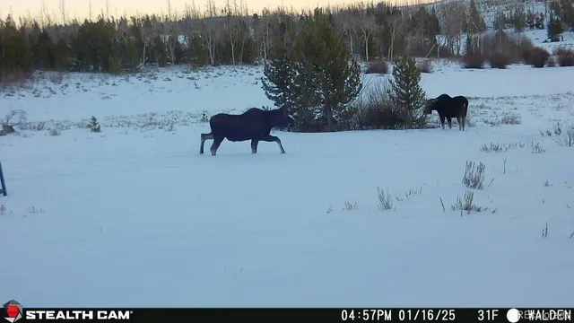 a view of wooden floor and a lake view