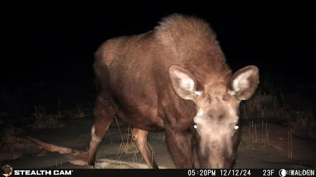a bird view image of a house