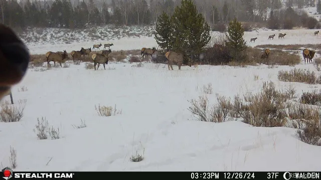 a view of a brick house with a yard