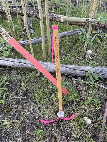 $545,000 | 609 Forest Service Road, Cowdrey, CO 80434