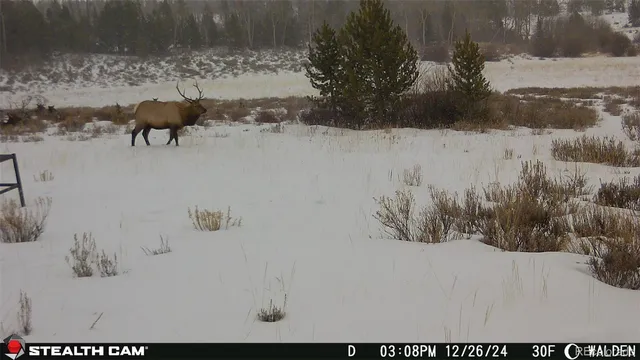 a view of outdoor space with seating area