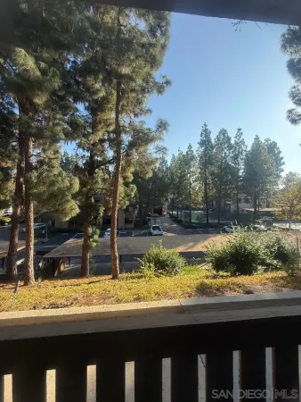 a view of a yard with wooden fence