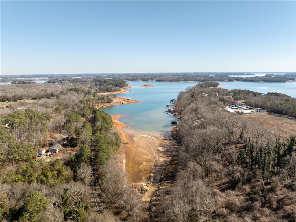 367 Dobbins Road Townville, SC 29689 - Photo 12 of 16 This elevated view captures the tranquil lake and its surrounding landscape under a bright sky.
