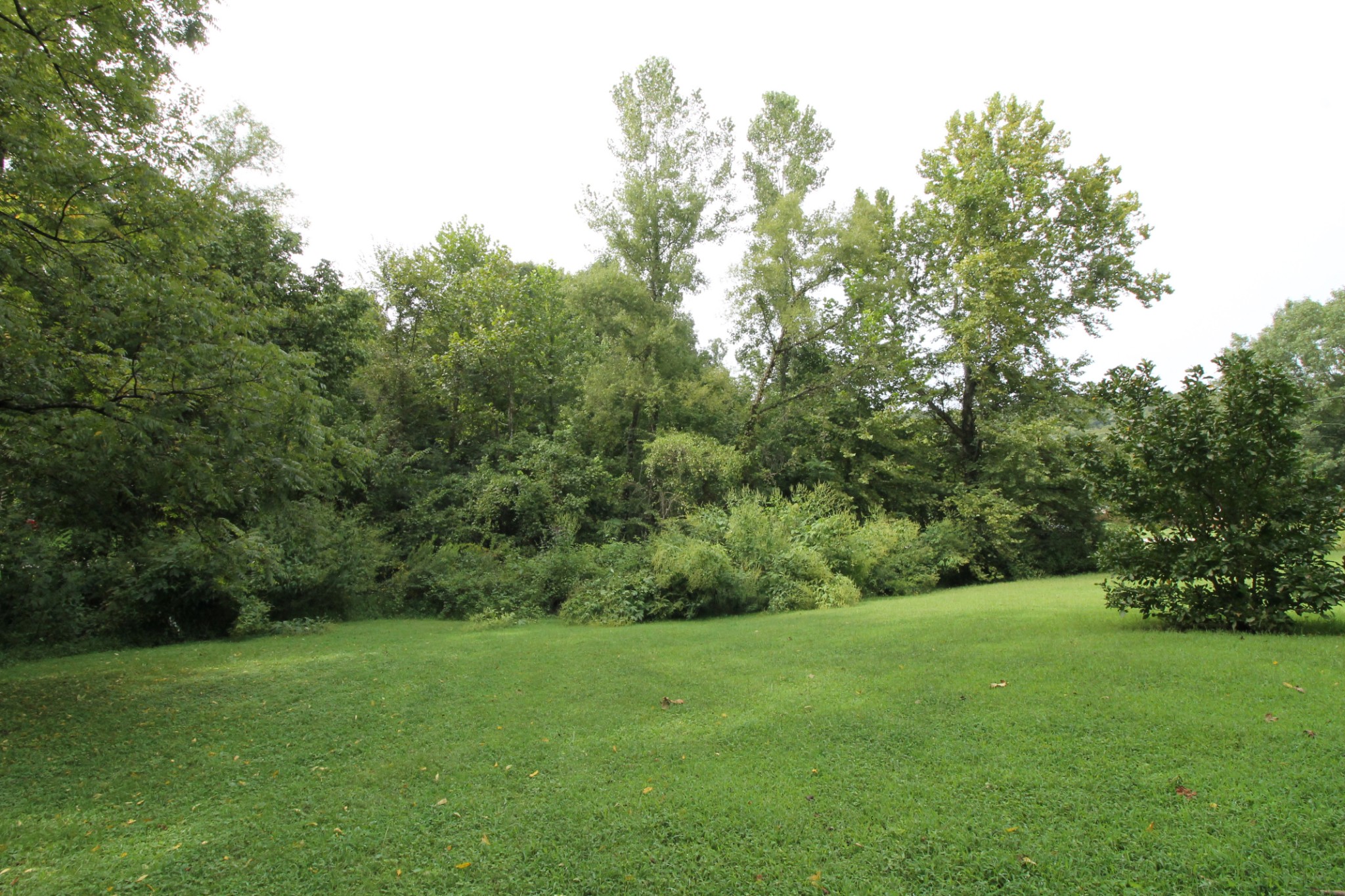 440 Hiwassee Road Lebanon, TN 37087 - Photo 11 of 15 a view of a grassy field with trees in the background