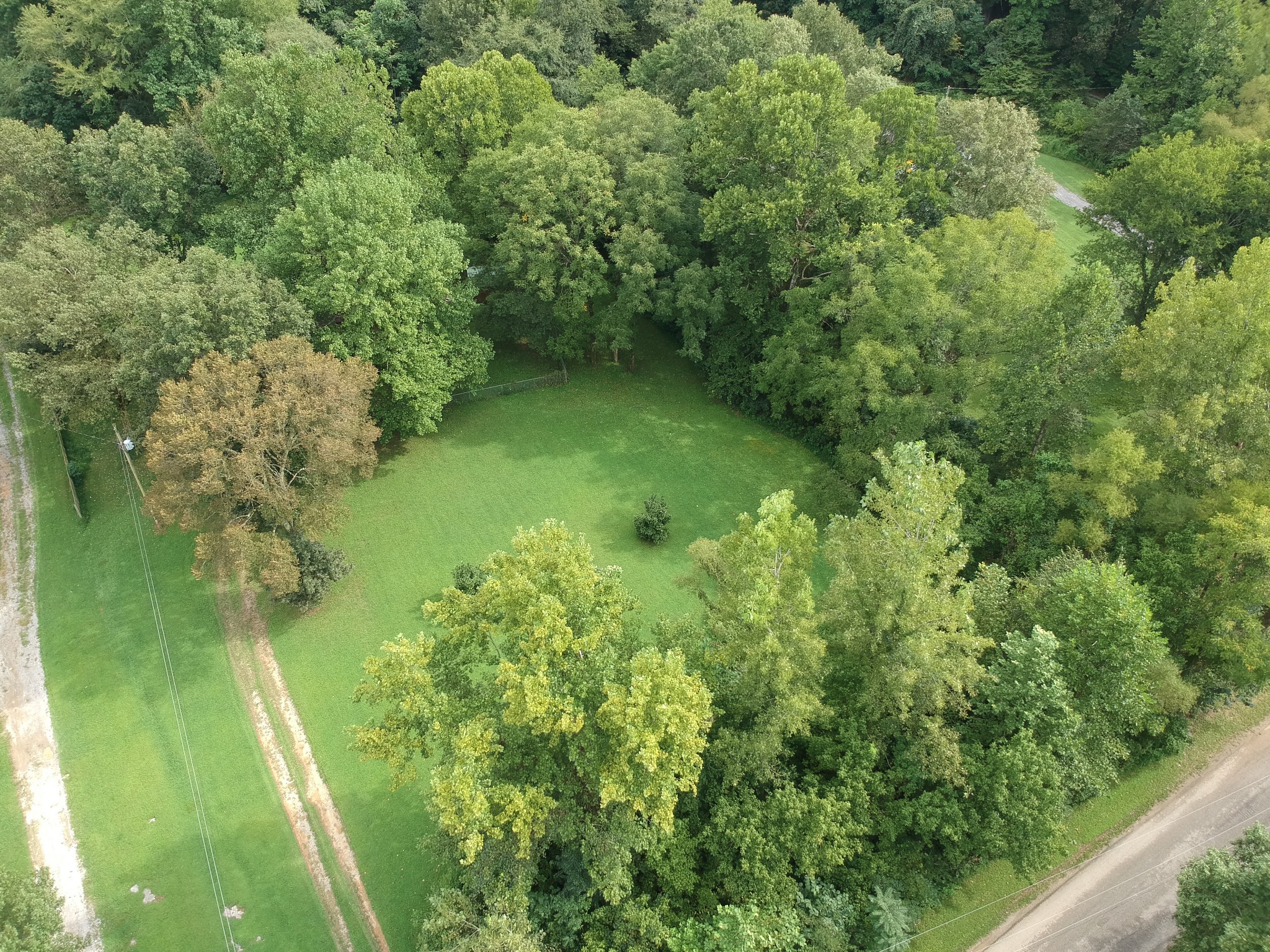 440 Hiwassee Road Lebanon, TN 37087 - Photo 4 of 15 a view of a garden with a lake