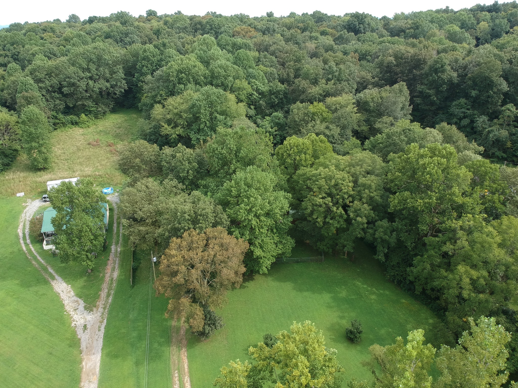 440 Hiwassee Road Lebanon, TN 37087 - Photo 5 of 15 a view of a green yard with large trees