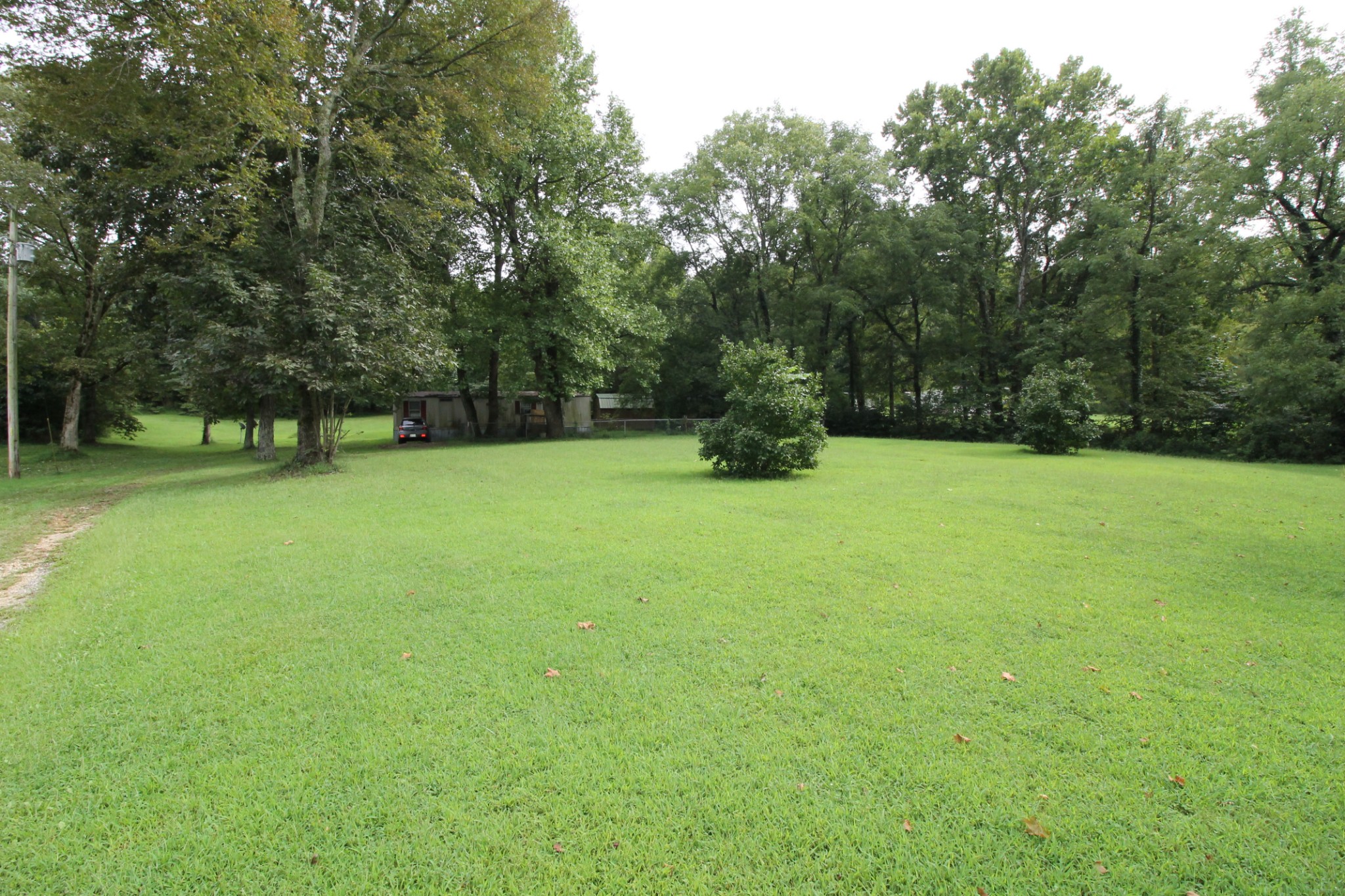 440 Hiwassee Road Lebanon, TN 37087 - Photo 8 of 15 a view of a green yard with a house and large trees