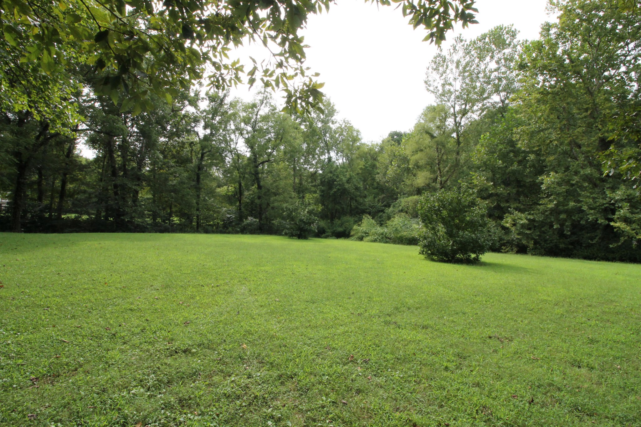 440 Hiwassee Road Lebanon, TN 37087 - Photo 9 of 15 a view of a field of grass and trees