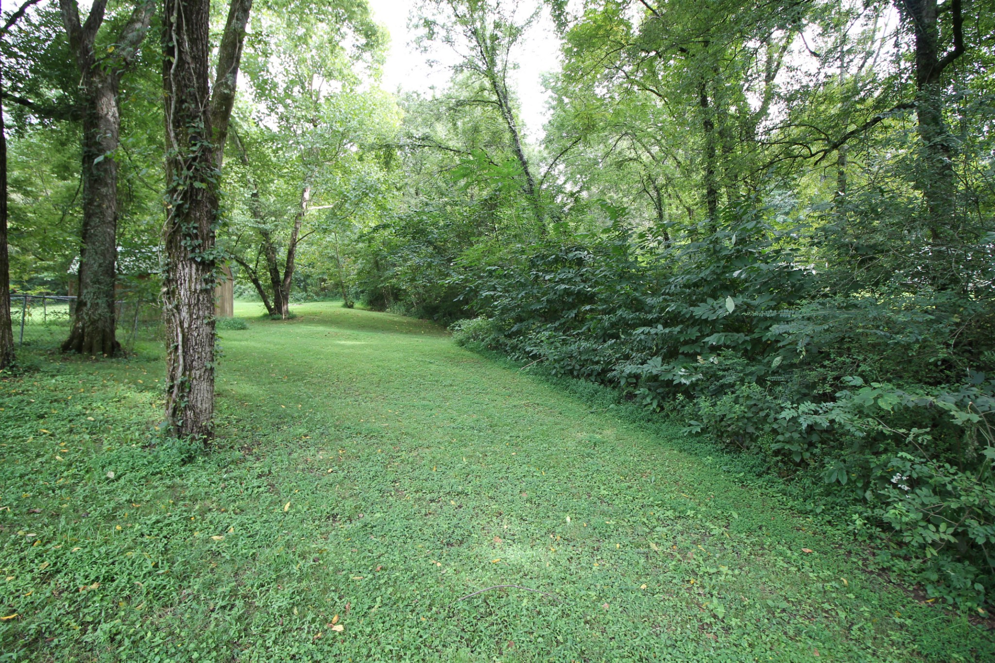 440 Hiwassee Road Lebanon, TN 37087 - Photo 10 of 15 a view of a lush green forest