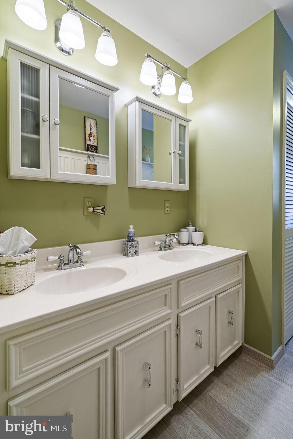 1400 Mountain Road Haymarket, VA 20169 - Photo 23 of 59 With dual sinks with medicine cabinets