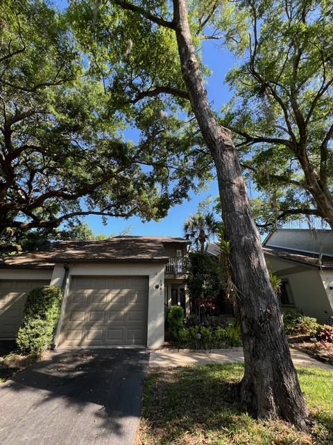 a view of a yard with a tree