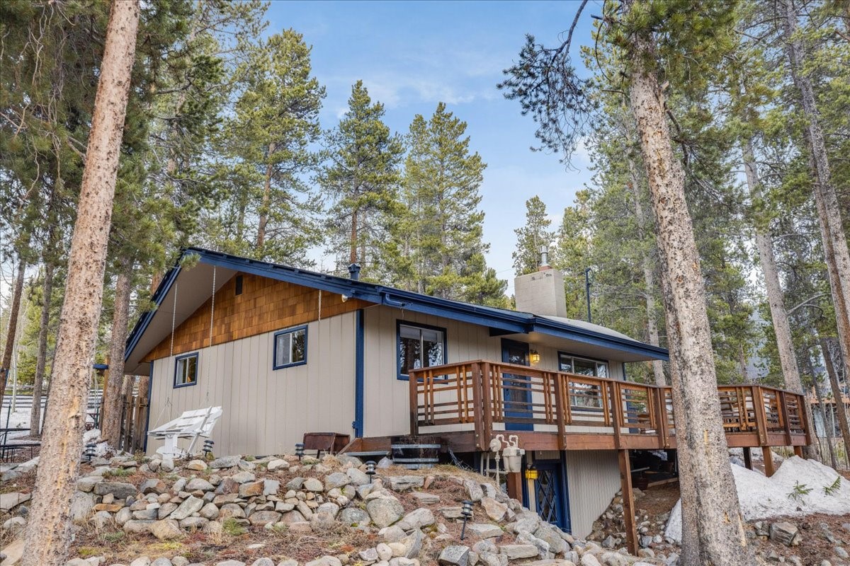 1981 Boreas Pass Road Breckenridge, CO 80424 - Photo 25 of 50