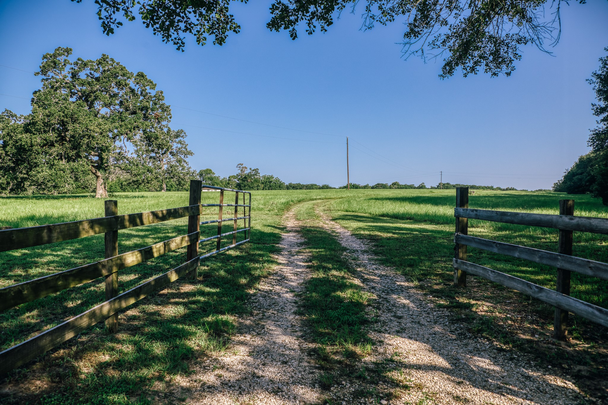 10671 Hidalgo Falls Road Washington, TX 77880 - Photo 2 of 31