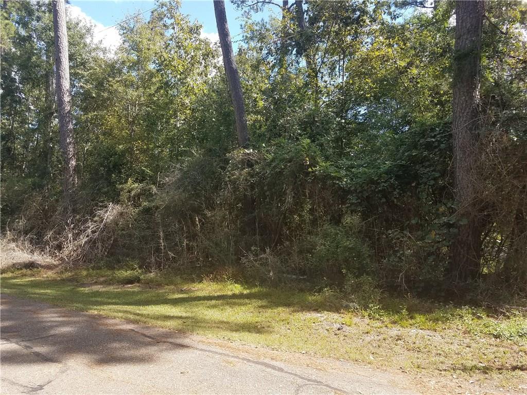 33030 Lower Rome Road Springfield, LA 70462 - Photo 1 of 3