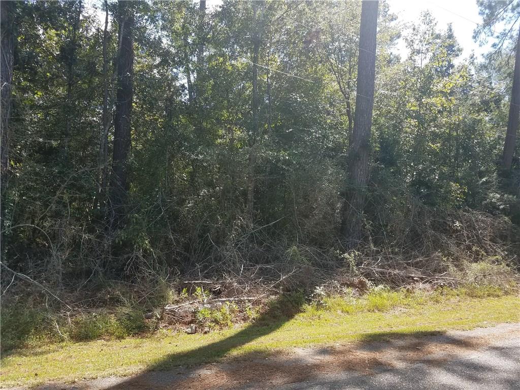33030 Lower Rome Road Springfield, LA 70462 - Photo 2 of 3