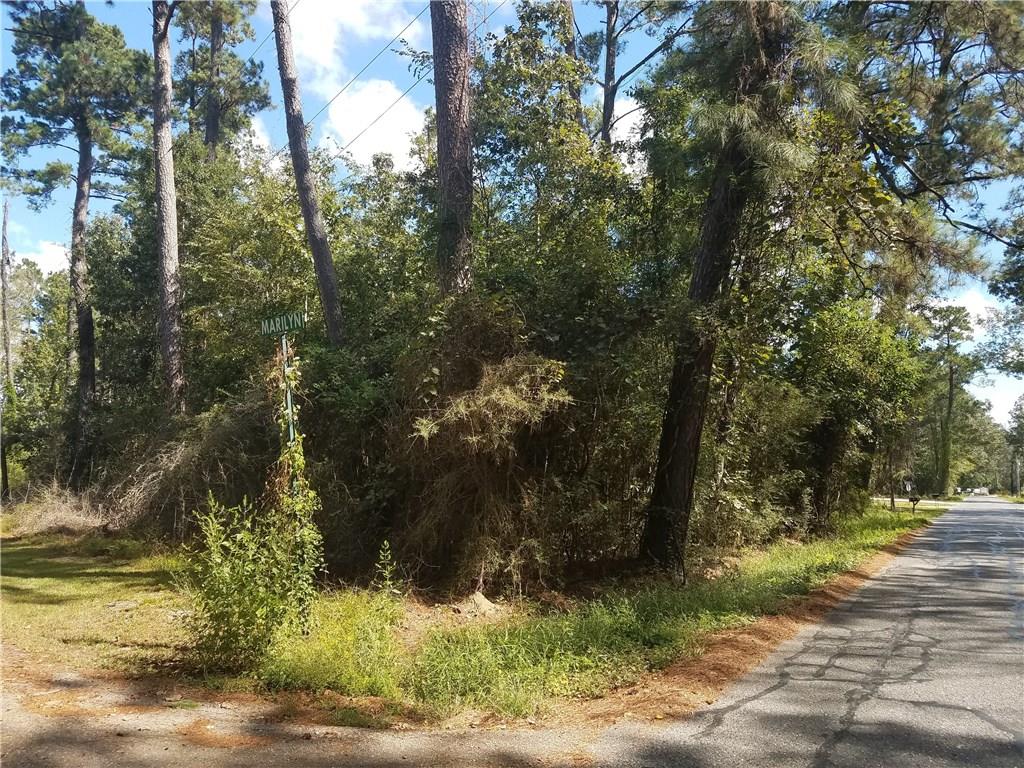33030 Lower Rome Road Springfield, LA 70462 - Photo 3 of 3