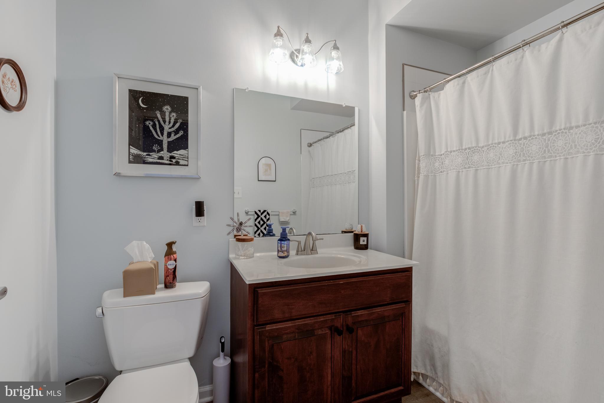 134 Bridge Street, Unit 201 Phoenixville, PA 19460 - Photo 20 of 33 a bathroom with a sink vanity mirror and toilet