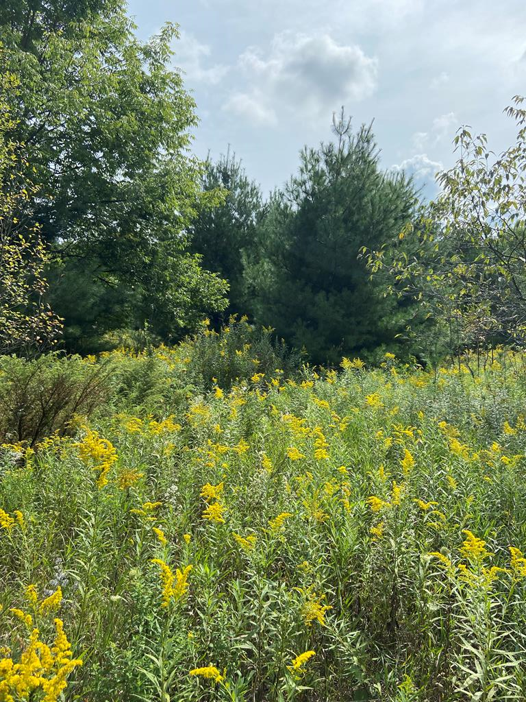 Lot 11 Heritage Meadows Road Egg Harbor, WI 54209 - Photo 1 of 3