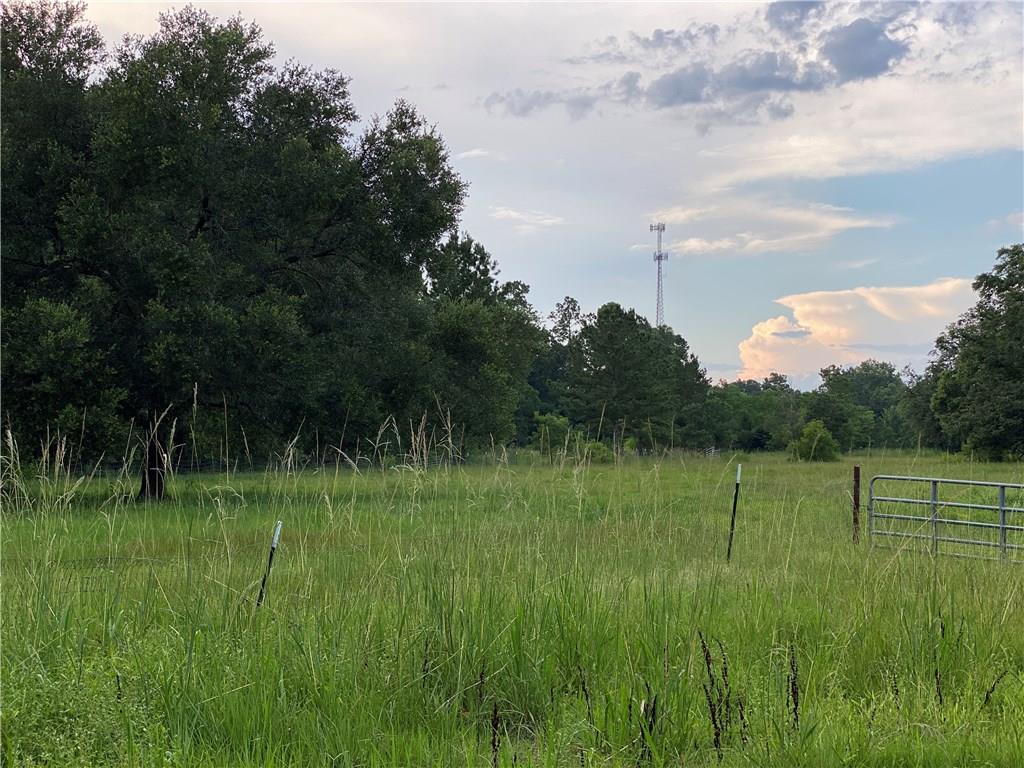 Lot 7 Coates Road Hammond, LA 70403 - Photo 12 of 20