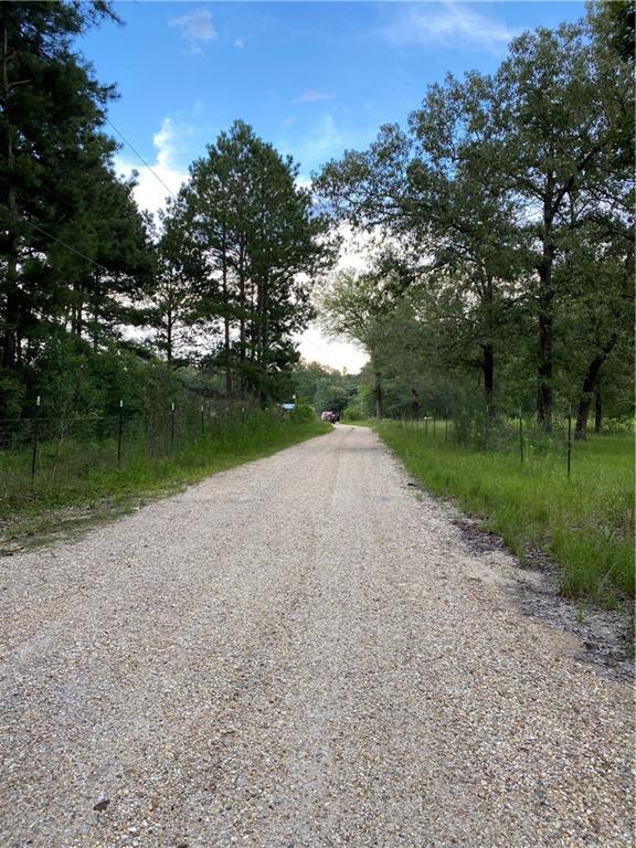 Lot 7 Coates Road Hammond, LA 70403 - Photo 3 of 20