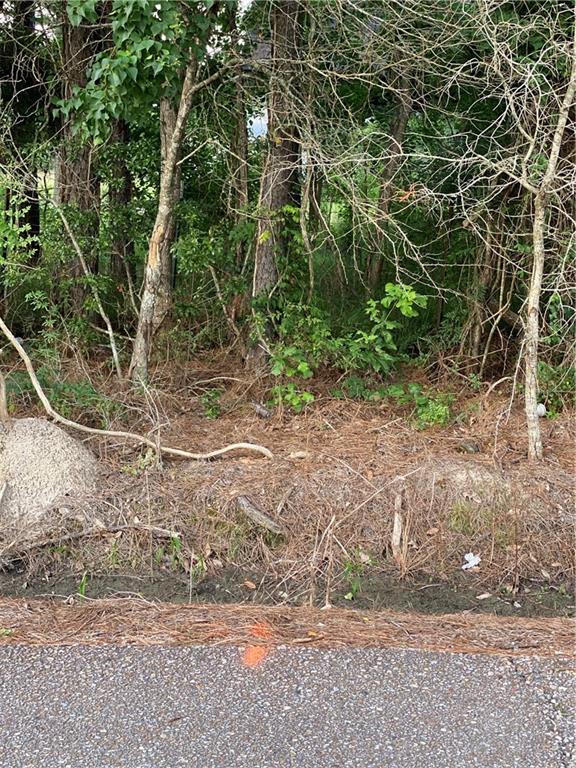 Lot 7 Coates Road Hammond, LA 70403 - Photo 4 of 20