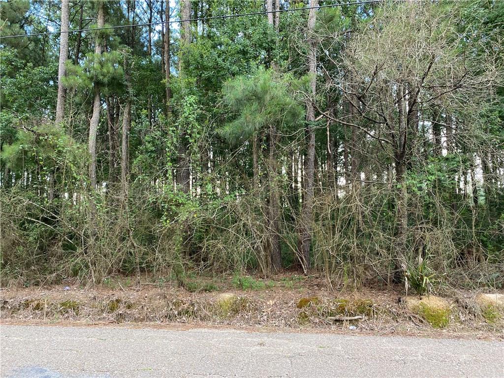 Lot 7 Coates Road Hammond, LA 70403 - Photo 6 of 20