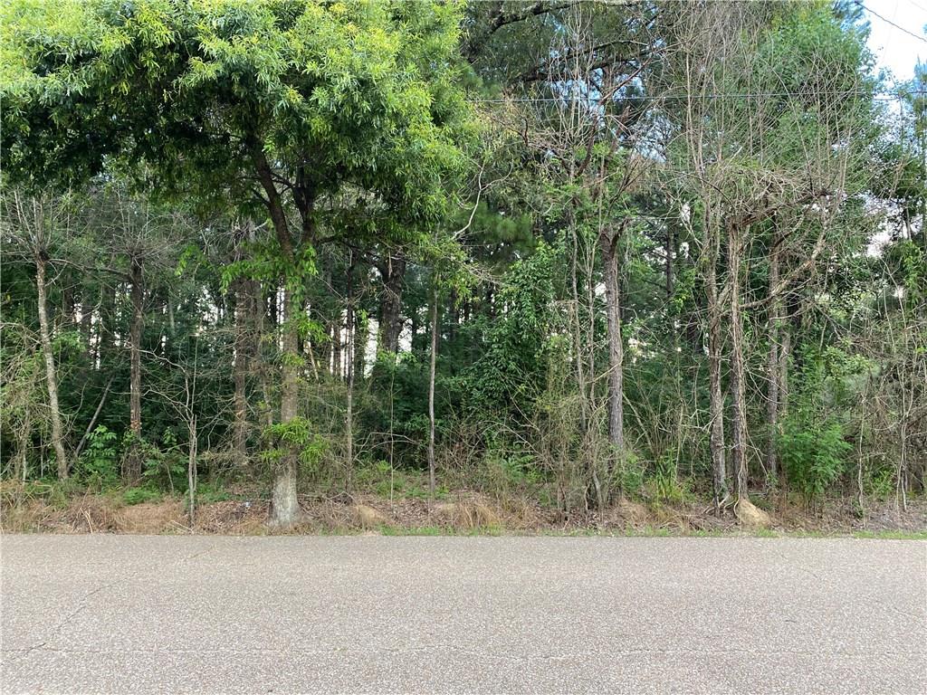 Lot 7 Coates Road Hammond, LA 70403 - Photo 8 of 20
