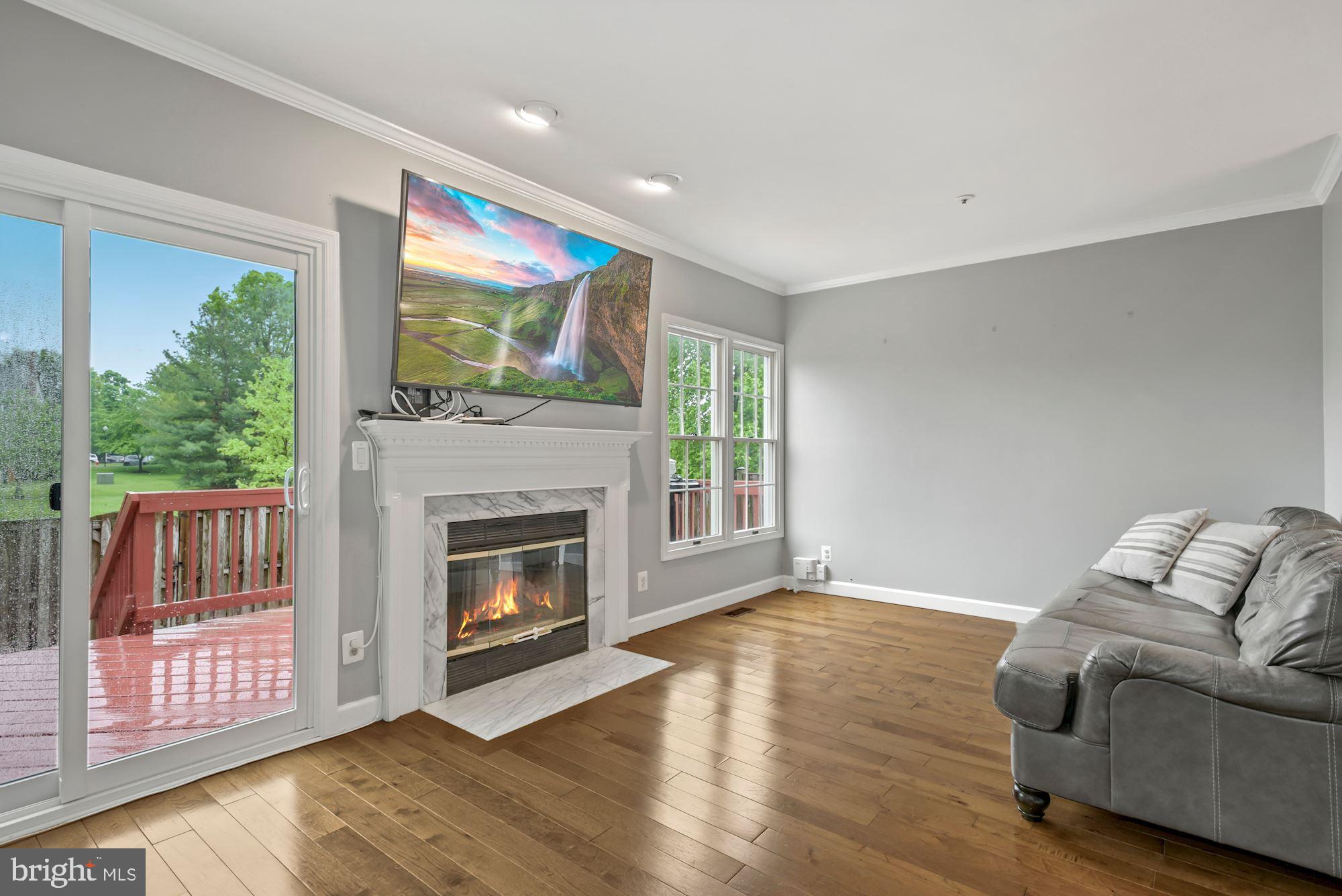 20121 Crew Square Ashburn, VA 20147 - Photo 15 of 36 a living room with furniture and a fireplace